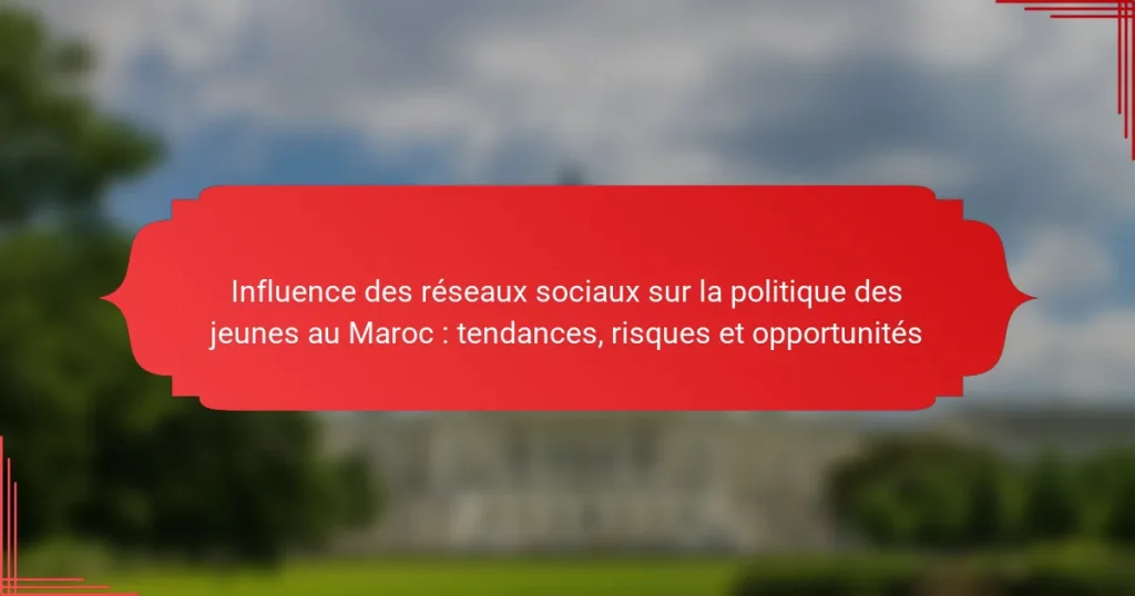 Influence des réseaux sociaux sur la politique des jeunes au Maroc : tendances, risques et opportunités
