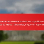 Influence des réseaux sociaux sur la politique des jeunes au Maroc : tendances, risques et opportunités