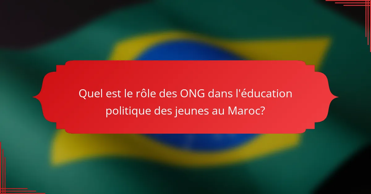 Quel est le rôle des ONG dans l'éducation politique des jeunes au Maroc?