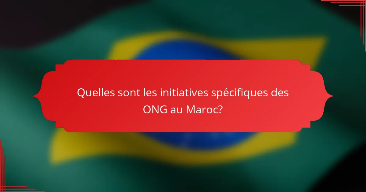 Quelles sont les initiatives spécifiques des ONG au Maroc?