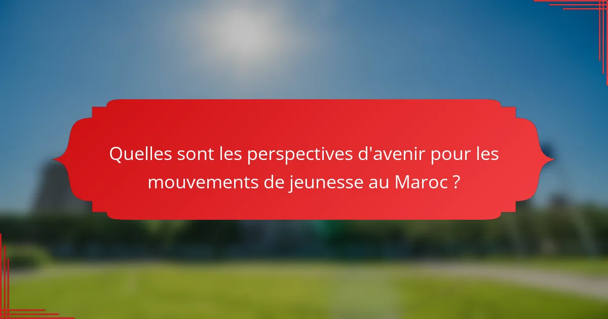 Quelles sont les perspectives d'avenir pour les mouvements de jeunesse au Maroc ?