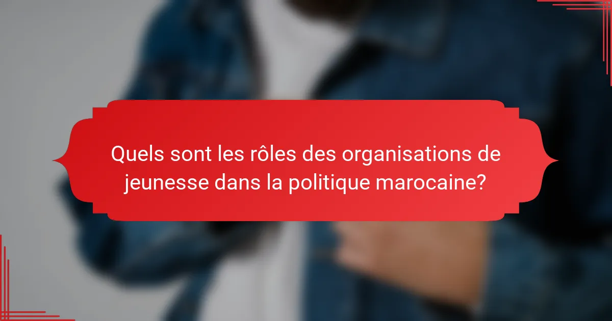 Quels sont les rôles des organisations de jeunesse dans la politique marocaine?