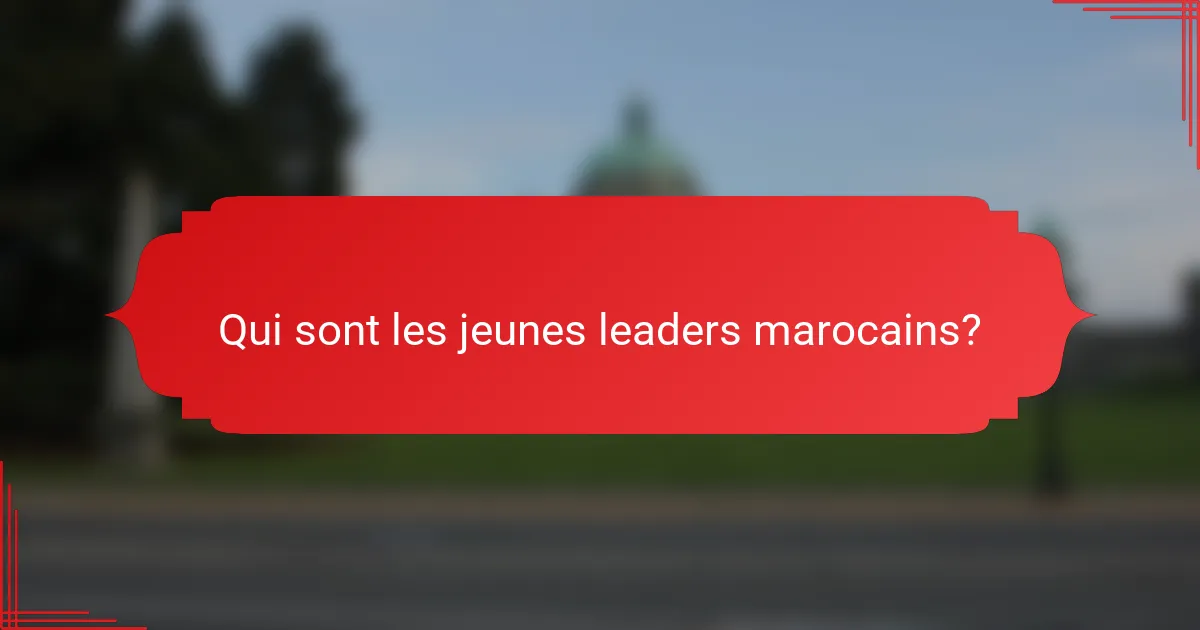 Qui sont les jeunes leaders marocains?
